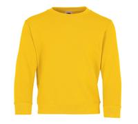 Fruit of the Loom, Sudadera Infantil, Amarillo (Sunflower Yellow), 5-6 Años