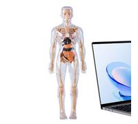 Fruusv Anatómica,Figura Anatómica del Esqueleto Brillante en El Negro,Modelo De anatomía Humana para - para Niños Y Niñas 8+ Estudio Biología Fisiología Halloween
