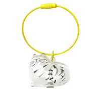 Fruusv Pet Hair Memorial Case, Cat Hair Holder, Transparent Remembrance Charm, Keepsake Pendant, Sentimental Bag Accessory for Women, Men, Family, Grandma Use, 1.57x1.18x0.98 Inches