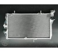 FSMOTO Kit para radiador de aluminio CBR1100 CBR1100XX Super Blackbird inyectado de combustible CBR 1100 XX SC35 1997-1998