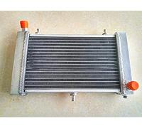 FSMOTO Radiador de aluminio para Aprilia RS125 RS 125 Tuono 1995-2010 2-Stroke RS-125