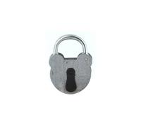 FTH - Candado FTH 2493 con llave, cuerpo de acero galvanizado de 55 mm, asa de acero galvanizado de 6,5 mm de diámetro, entrada de llave protegida por una cubierta, 2 llaves de garganta