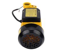 FTVOGUE Bomba Centrífuga de Agua Limpia, Bomba Centrífuga Eléctrica de Hierro Fundido de 650 W, Caudal de 40 L/min, Ideal para Riego y Presurización Domésticos