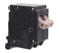 FTVOGUE Disyuntor CH 30A 2P Disyuntor de Caja Moldeada con Enchufe con Protector Magnético Térmico para Centros de Carga de Martillo Cutler Paneles Comerciales Residenciales