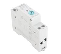 FTVOGUE Disyuntor Inteligente Wifi, Material PA66, Control Remoto, Control por Voz, 10A 16A 25A 32A Compatible con Hogar Inteligente (16A)
