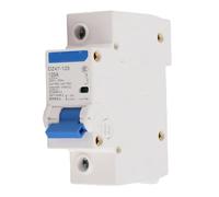 FTVOGUE Disyuntor Miniatura DZ47-125 1P, 230V 80/100/125A con Protección