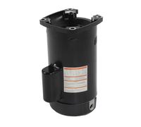 FTVOGUE Motor de Bomba de Piscina B2840, Acero de Aleación, Velocidad única, 2,5, 11,5 A, 3450 RPM, para Bombas