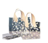 FTYEBDNC 2Pcs Clear Bags Handbag, Transparent Boxes Tote Bag, Waterproof Storage Bags/White Handle/25 * 23 * 14.5Cm