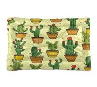 Fuauuyl Alfombrilla suave para cama de perro con diseño de cactus de ojos rosados, lavable a máquina, con parte inferior antideslizante para dormir de perro, 36 x 24 pulgadas