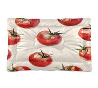 Fuauuyl Tapete suave para cama de perro con diseño de tomates de acuarela y ojos rosados, lavable a máquina, con parte inferior antideslizante para dormir de perro, 36 x 24 pulgadas