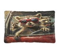 Fuauuyl The Little Raccoon Is Driving - Alfombrilla de cama suave para mascotas, lavable a máquina, con parte inferior antideslizante para perro, 36 x 24 pulgadas