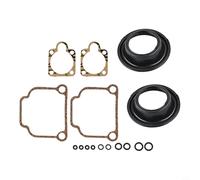 FUBESK Kit de reparación de carburador de 40 mm para motores refrigerados por aire r100, juego completo de reconstrucción que restaura la el sistema de combustible