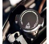 FUBESK LatoYard - Tapa decorativa de aleación de aluminio para radiador de motocicleta, titanio