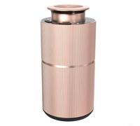 FUBESK Metal Car Essential Oil Difusor Waterless Aromatherapy Atomizador Bajo ruido 20ml Capacidad Oro (Oro)