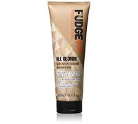 FUDGE ALL BLONDE COLOR LOCK SHAMPOO 250ML