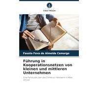 Führung in Kooperationsnetzen von kleinen und mittleren Unternehmen: Eine Fallstudie über das Centersul-Netzwerk in Mato Grosso