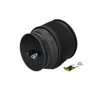 Bolsa de aire de suspensión neumática Atrás derecha Espiga arriba A-3331 Arnott