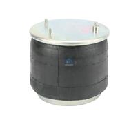 Fuelle Neumático Suspensión DT SPARE PARTS Compatible con DAF CF