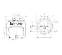 FEBI BILSTEIN Fuelle, suspensión neumática (Ref: 170930)