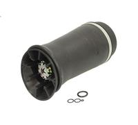 Fuelle, suspensión neumática ARNOTT EUROPE A-2153 EXPEDITION 4.6 1996-2002