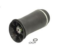 Fuelle, suspensión neumática ARNOTT EUROPE A-2153 para EXPEDITION 5.4 1996-