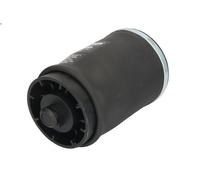 Fuelle, suspensión neumática ARNOTT EUROPE A-2504 para X5 (E53) 3 2001-2003