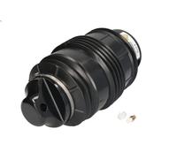 Fuelle, suspensión neumática ARNOTT EUROPE A-2724 para CLS (C219) 3 2009-201