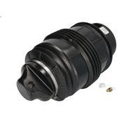 Fuelle, suspensión neumática ARNOTT EUROPE A-2725 para CLS (C219) 5.5 2005-