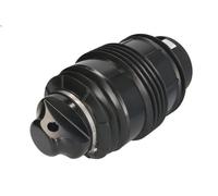 Fuelle, suspensión neumática ARNOTT EUROPE A-2726 CLASE E T-Model 3 2005-2009