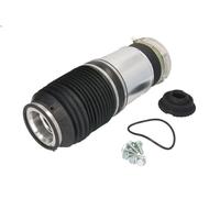 Fuelle, suspensión neumática ARNOTT EUROPE A-2885 para ALLROAD C5 2.7 2000-