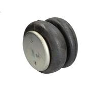 Fuelle, suspensión neumática DT SPARE PARTS 4.81071 para AXOR 11.967 2002-