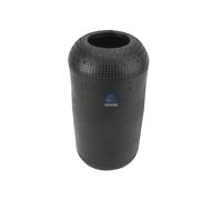 Fuelle Suspensión Neumática DT SPARE PARTS Iam-Expertise Apto para U.a. Man G