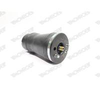 Fuelle, suspensión neumática MONROE ASP012 BMW X5 (E53) 3 2000-2006