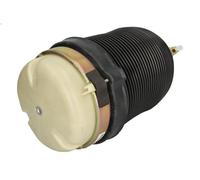 Fuelle, suspensión neumática MONROE ASP035 AUDI A6 C6 (4F2) 2 2005-2011