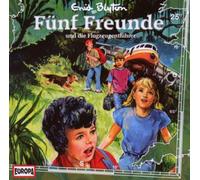 Fünf Freunde - 025/und die Flugzeugentführer