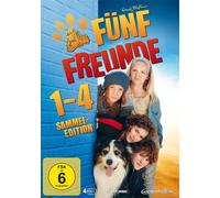 Fünf Freunde 1 - 4 (DVD)