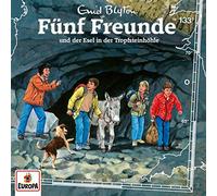 Fünf Freunde 133 und der Esel in der Tropfsteinhöhle