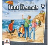 Fünf Freunde 169: und der Diebstahl im Felsenhaus