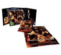 Fünf Freunde Junior 06: Die Suche nach dem Rennpferd / Der verschwundene Preis