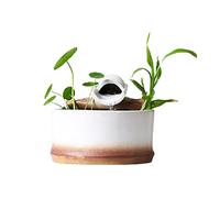 Fuentes de Agua de Interior Fuente de cascada de cerámica Fuente de escritorio de agua circulante automática TELEVISOR Decoración del gabinete decoración del escritorio Fuente de Mesa ( Color : White