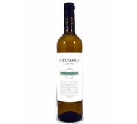 Fuenteseca Macabeo - Sauvignon Blanc 2022