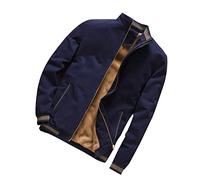FUHU-SJZ Chaqueta para Hombre, Chaqueta De Algodón Casual Invierno Chaqueta Cazadora Ligera Entretiempo Chaqueta Clásica Al Aire Libre Cuello Alto Hombre (Color : Blue, Size : XL)