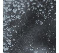 Fujiiiiiiiiiiiita - Noiseem [VINYL] [Vinilo]