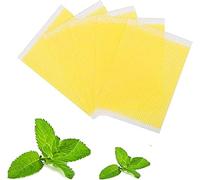 Fujimint Patch | Natural Herbal Abdomen Waist Japanese Mint Patches | Parches Fujimint,Fuji Mint Patches, Belly Tighten Stickers, Body Shaping Patch,Herbal Patch for Cellulite (30pcs)