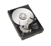 Fujitsu S26361-F3951-L100 1000GB Serial ATA III Unidad de disco duro