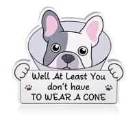 Fukaisu Regalos de vasectomía, Dog At Least You Don't Have To Wear a Cone Get Well Soon White Elephant Gifts Acrylic Ornament for Women Men