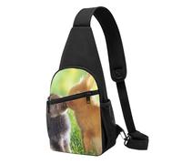 FUkker Bolso bandolera, bolso cruzado en el pecho, bolso en diagonal para viajes, senderismo, pecho, mochila, cinturón, unisex,Conejo Amor Impreso