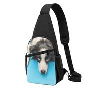 FUkker Bolso bandolera, bolso cruzado en el pecho, bolso en diagonal para viajes, senderismo, pecho, mochila, cinturón, unisex,Perro Cachorro Gracioso Border Collie Sobre Fondo Azul