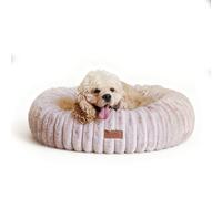FUKUMARU Cama para Perros, Cama para Gatos de Interior, Cama ortopédica para Perros, Funda Lavable, diseño Moderno con Degradado de Colores. 64 x 64 x 18 cm, Rosa.