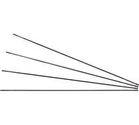 Fulcrum Radios de repuesto Racing 3 a partir del modelo 2013 negro rueda delantera